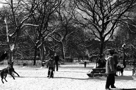 Tompkins Square, East Village, Manhattan, New York, January 2001