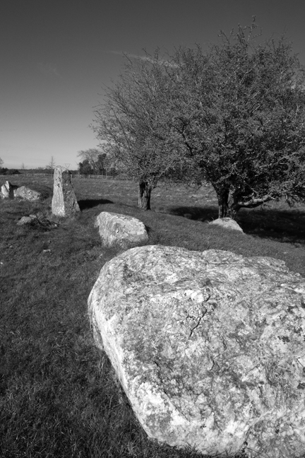 Stone Circle/Megalith