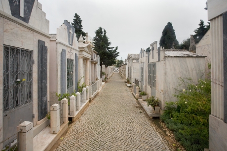 Cemetery, Faro, Portugal, November 2012